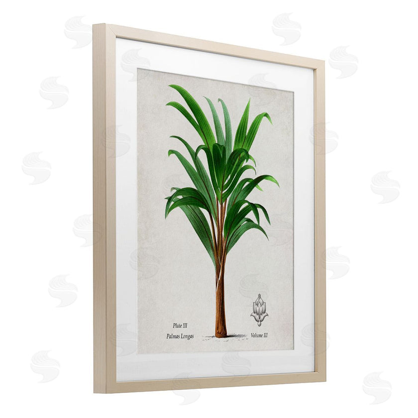 Val Rhodes | Vintage Banana Leaf Palm