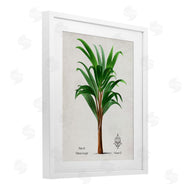 Val Rhodes | Vintage Banana Leaf Palm