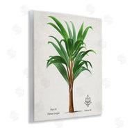 Val Rhodes | Vintage Banana Leaf Palm