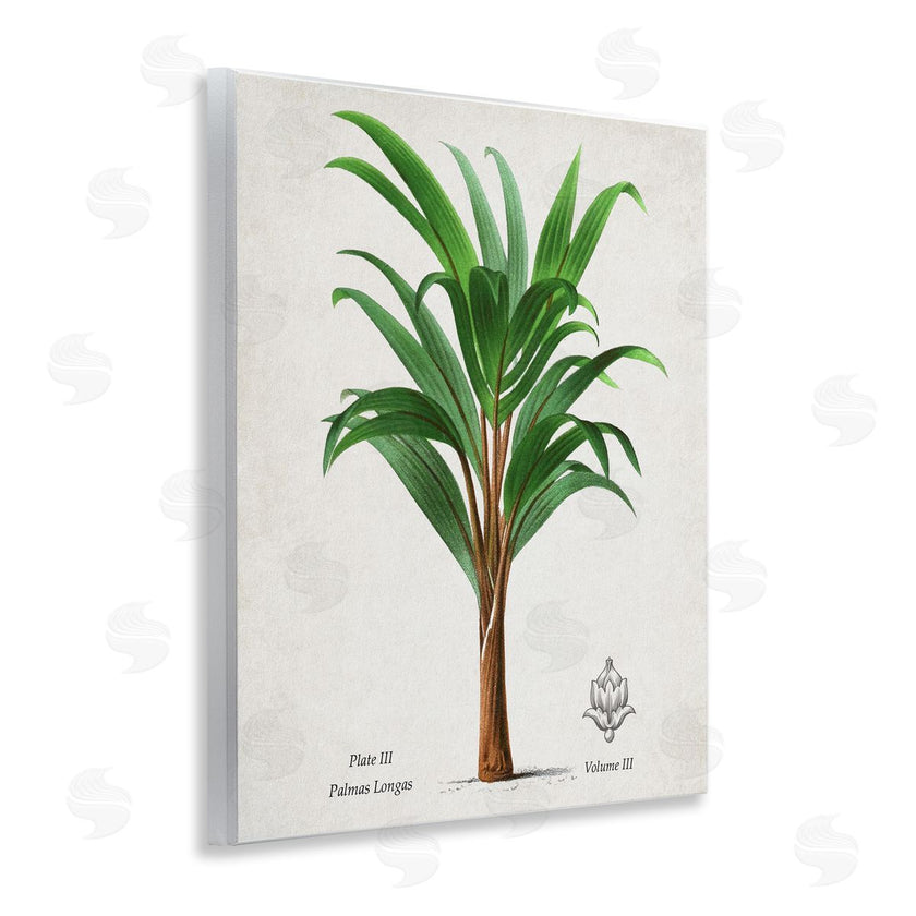Val Rhodes | Vintage Banana Leaf Palm