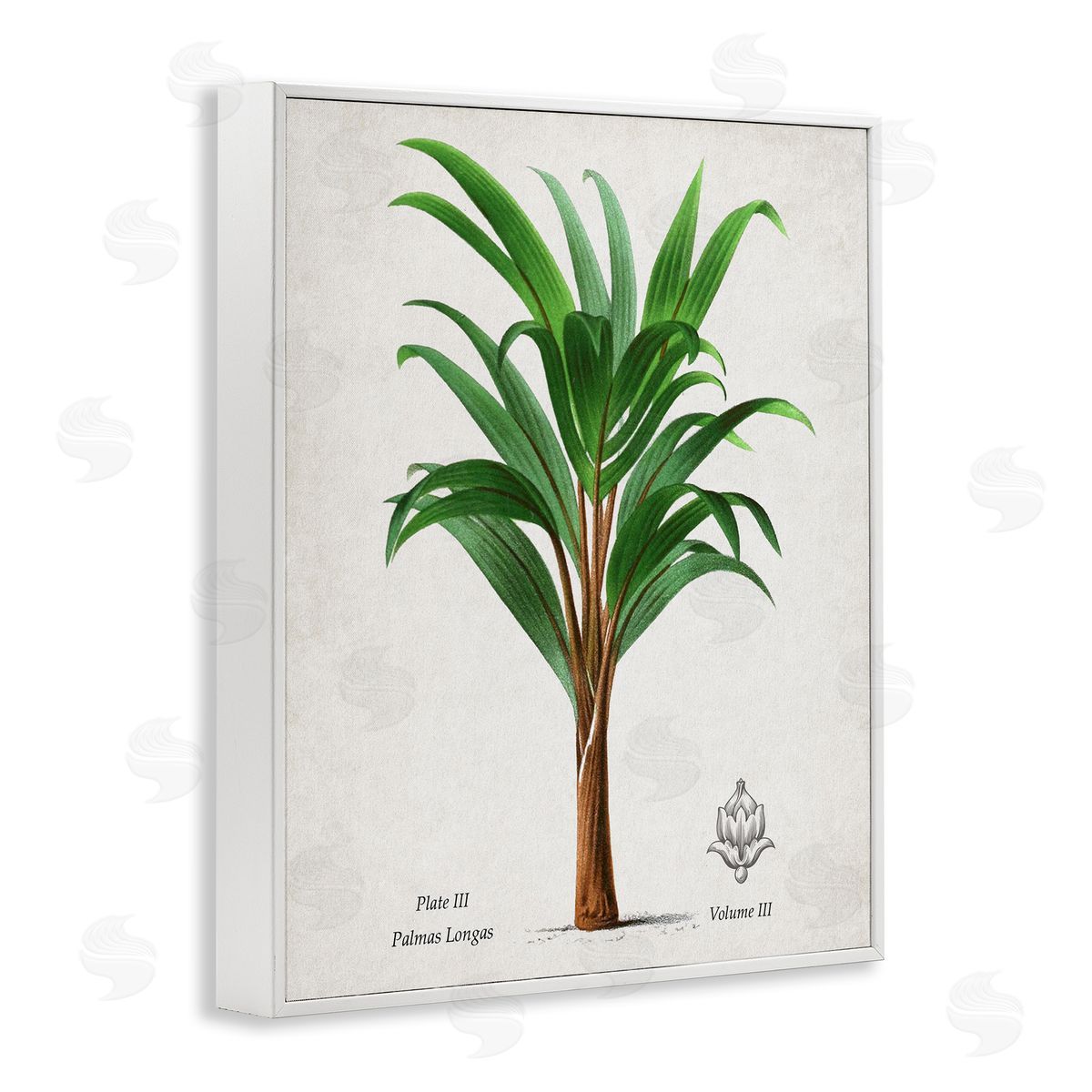 Val Rhodes Vintage Banana Leaf Palm Canvas Wall Art Print
