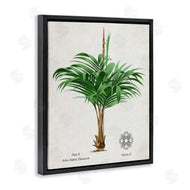 Val Rhodes | Vintage Wide Palm Plant