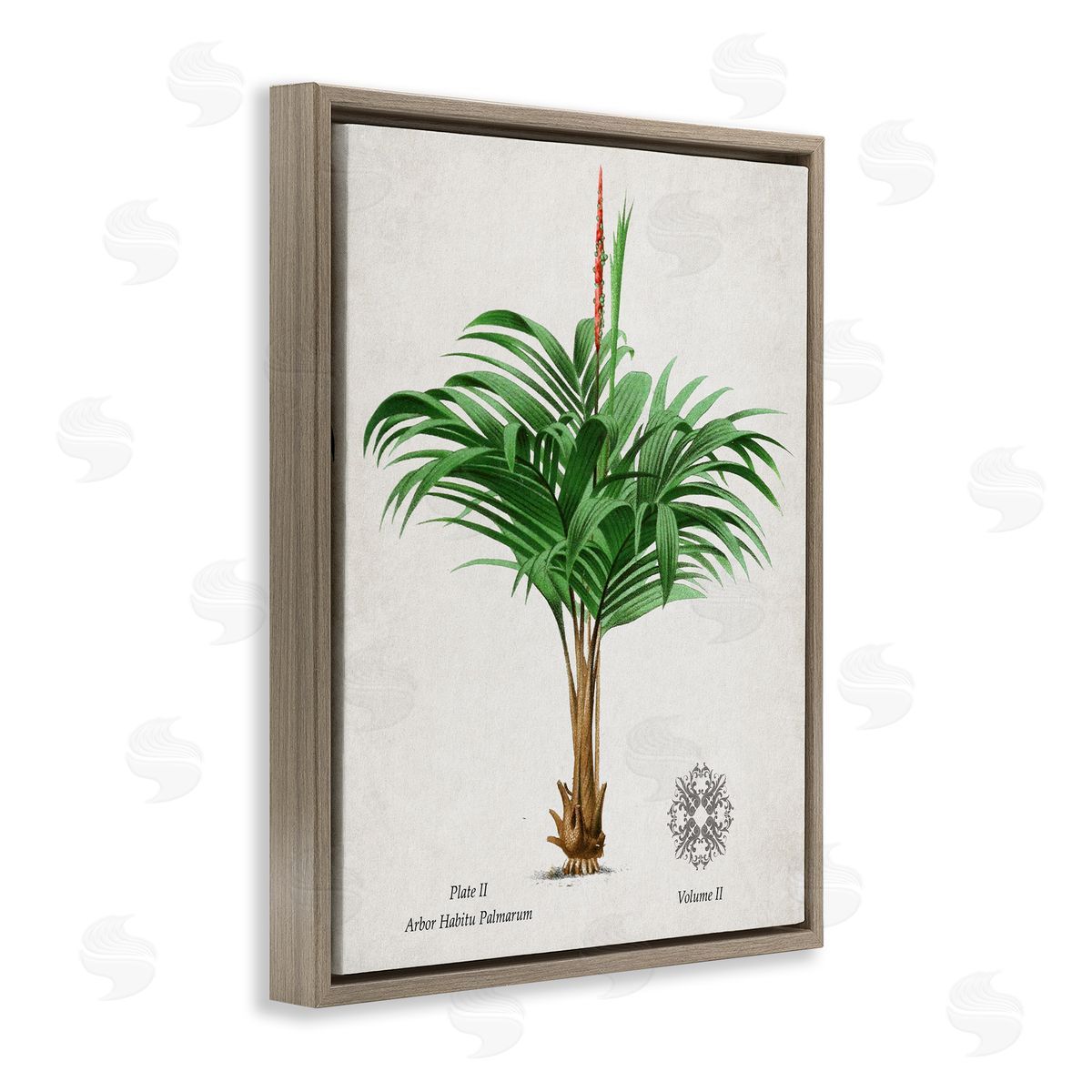 Val Rhodes Vintage Wide Palm Plant Canvas Wall Art Print