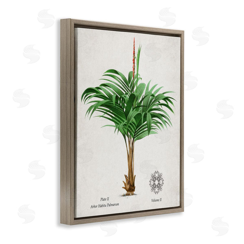 Val Rhodes | Vintage Wide Palm Plant