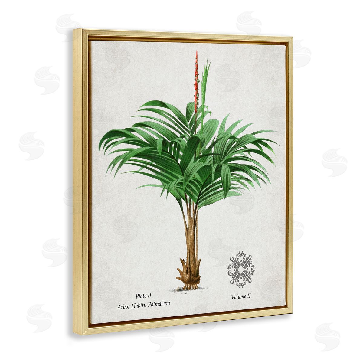 Val Rhodes Vintage Wide Palm Plant Canvas Wall Art Print