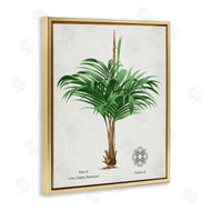 Val Rhodes | Vintage Wide Palm Plant