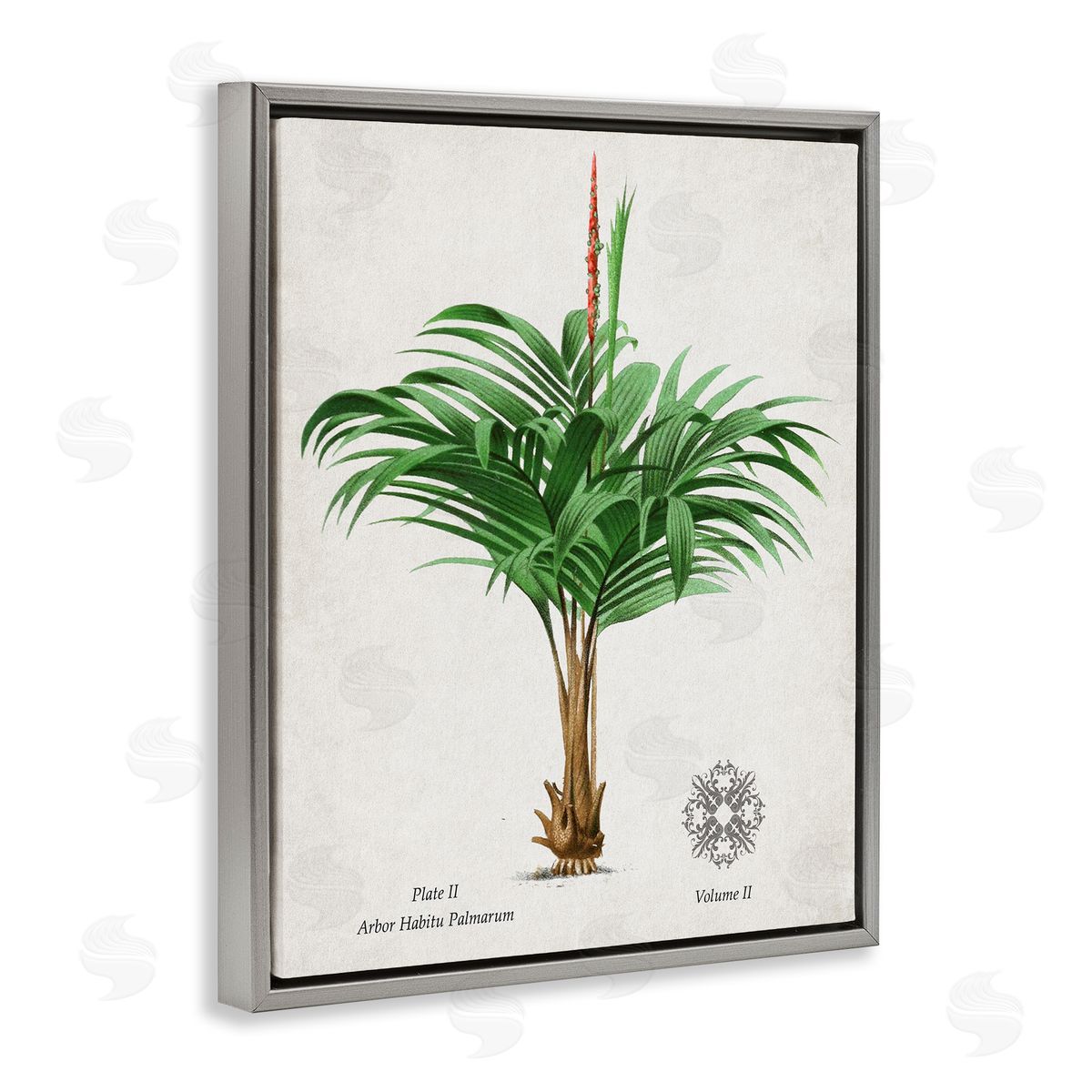 Val Rhodes Vintage Wide Palm Plant Canvas Wall Art Print