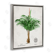 Val Rhodes | Vintage Wide Palm Plant