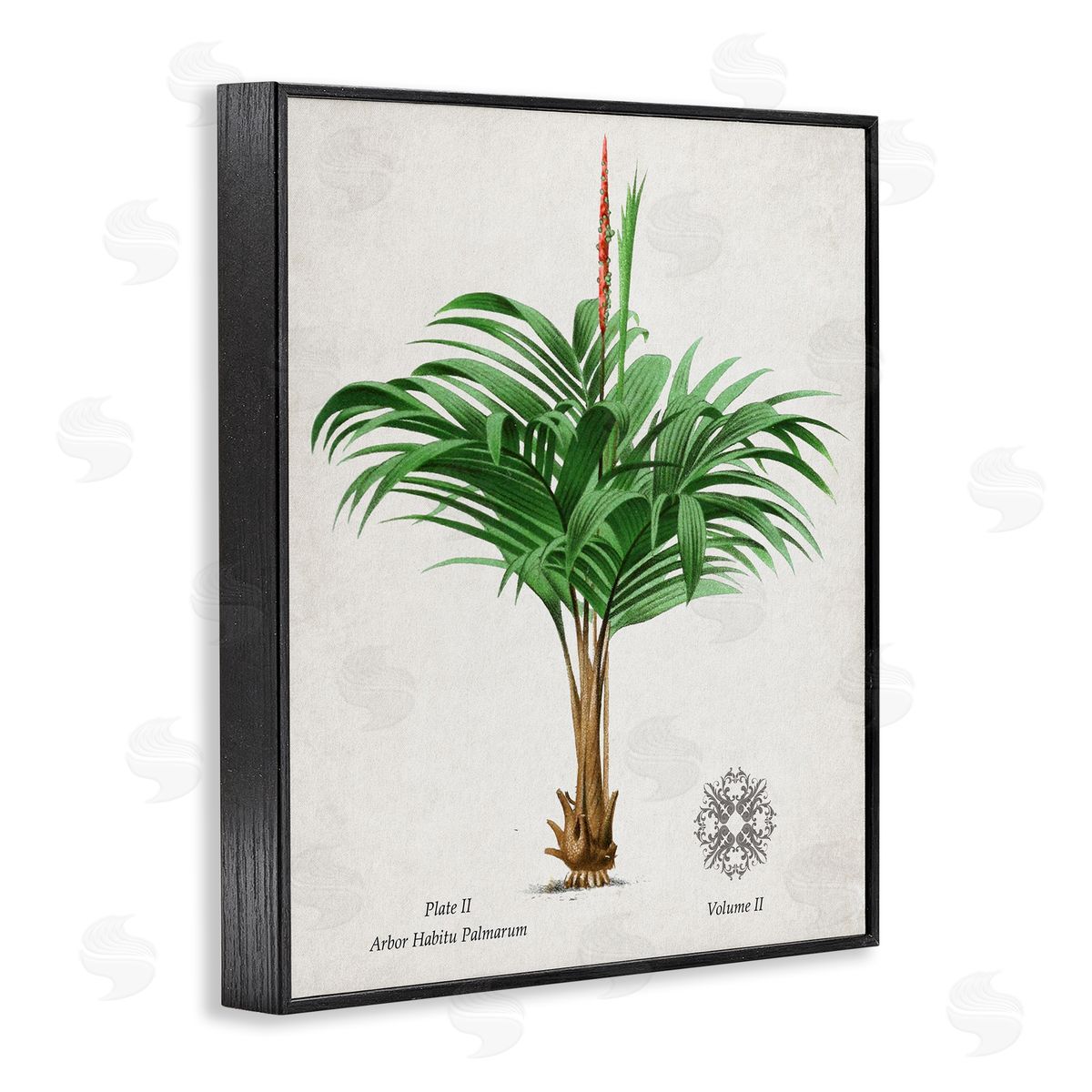 Val Rhodes Vintage Wide Palm Plant Canvas Wall Art Print