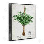 Val Rhodes | Vintage Wide Palm Plant