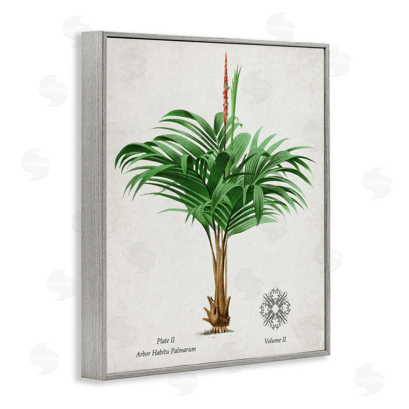 Val Rhodes | Vintage Wide Palm Plant