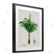Val Rhodes | Vintage Wide Palm Plant