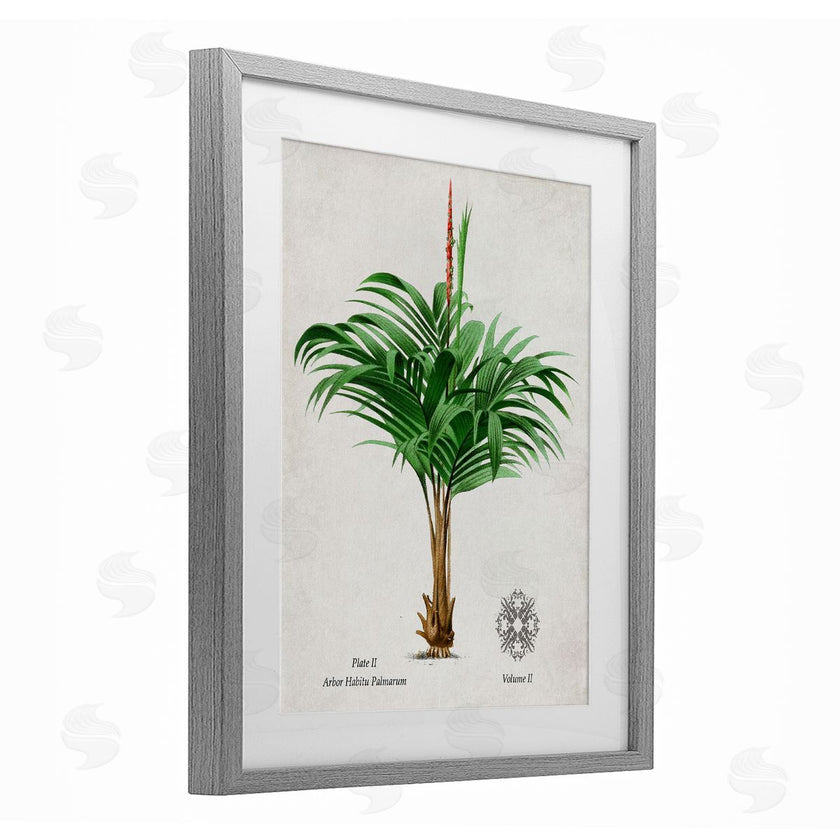 Val Rhodes | Vintage Wide Palm Plant