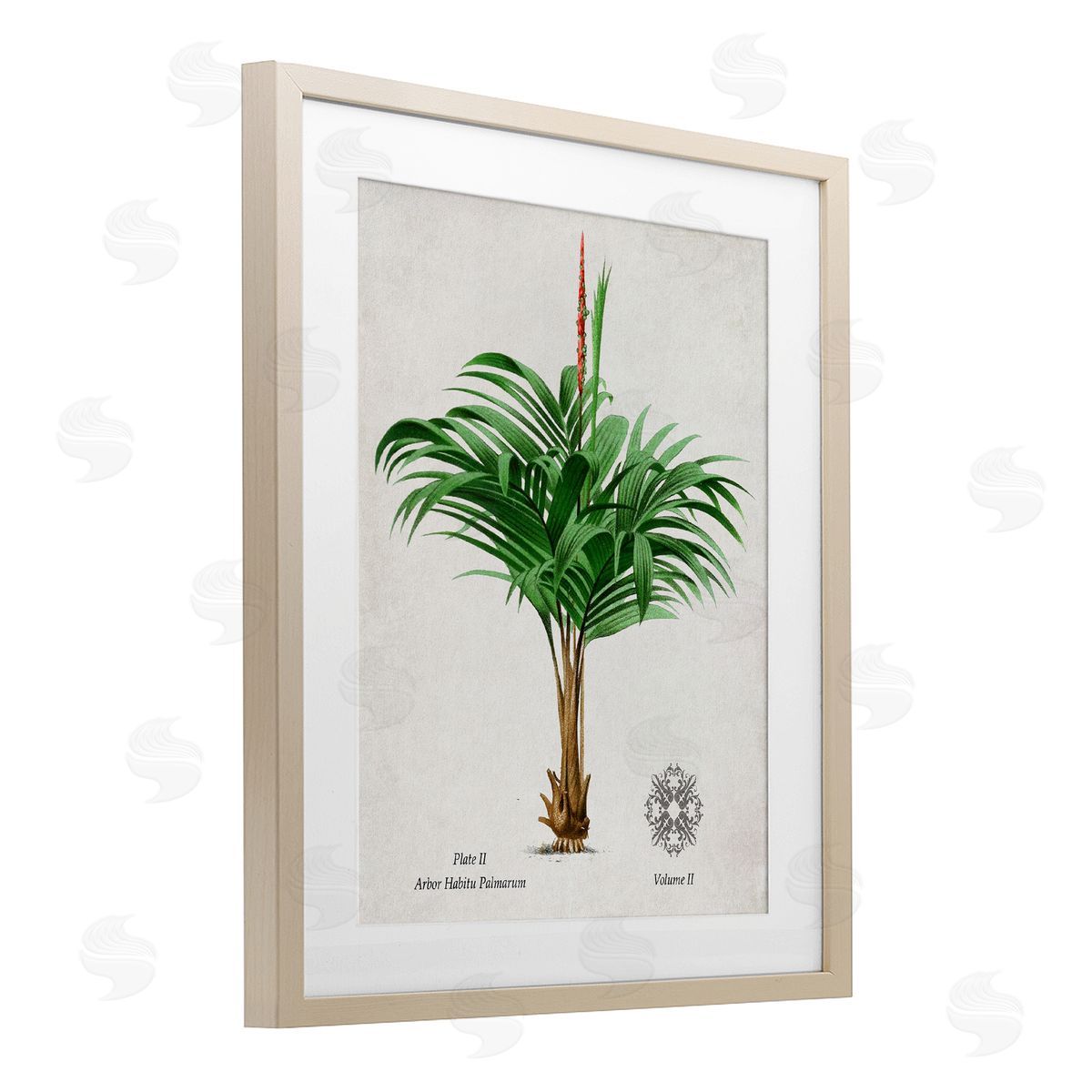Val Rhodes Vintage Wide Palm Plant Canvas Wall Art Print