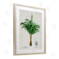Val Rhodes | Vintage Wide Palm Plant