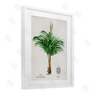 Val Rhodes | Vintage Wide Palm Plant