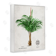 Val Rhodes | Vintage Wide Palm Plant