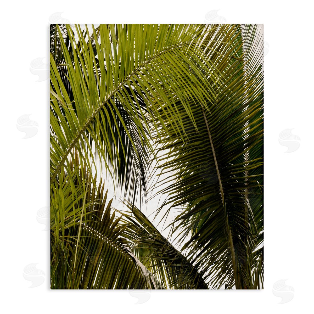 Natalie Carpentieri Layered Palm Details Canvas Wall Art Print