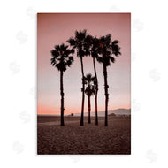 Natalie Carpentieri | Stanta Monica Palms Pink