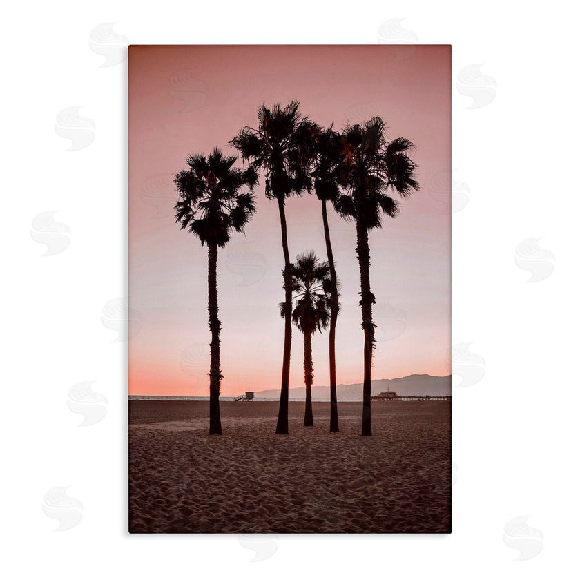 Natalie Carpentieri | Stanta Monica Palms Pink