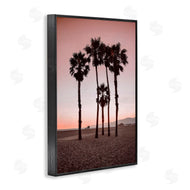 Natalie Carpentieri | Stanta Monica Palms Pink