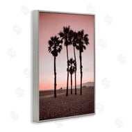 Natalie Carpentieri | Stanta Monica Palms Pink