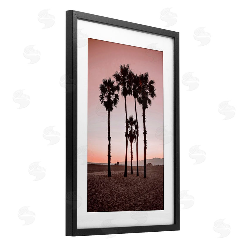 Natalie Carpentieri | Stanta Monica Palms Pink