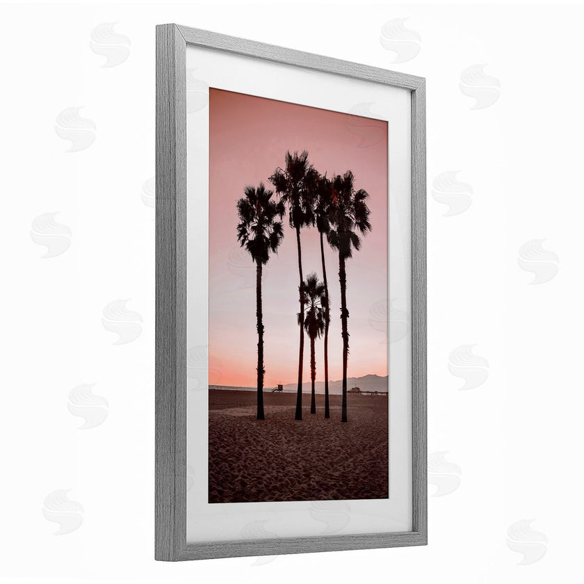 Natalie Carpentieri | Stanta Monica Palms Pink