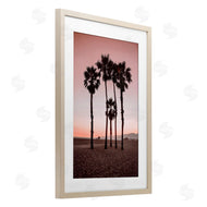 Natalie Carpentieri | Stanta Monica Palms Pink