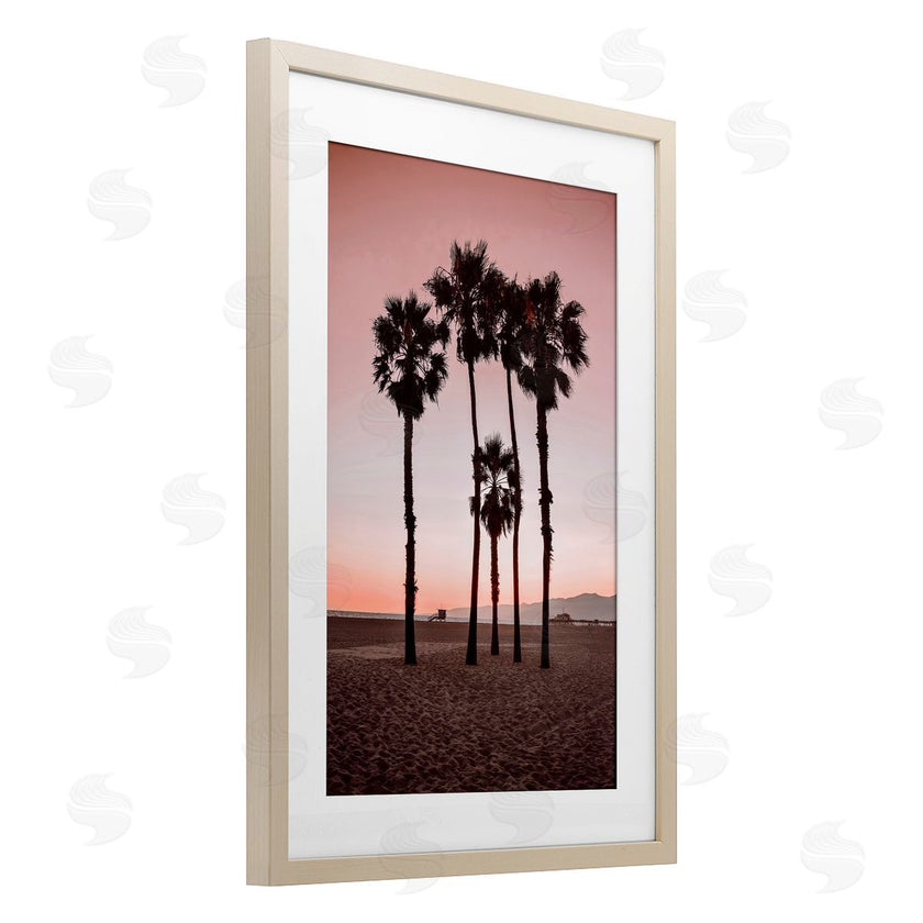 Natalie Carpentieri | Stanta Monica Palms Pink