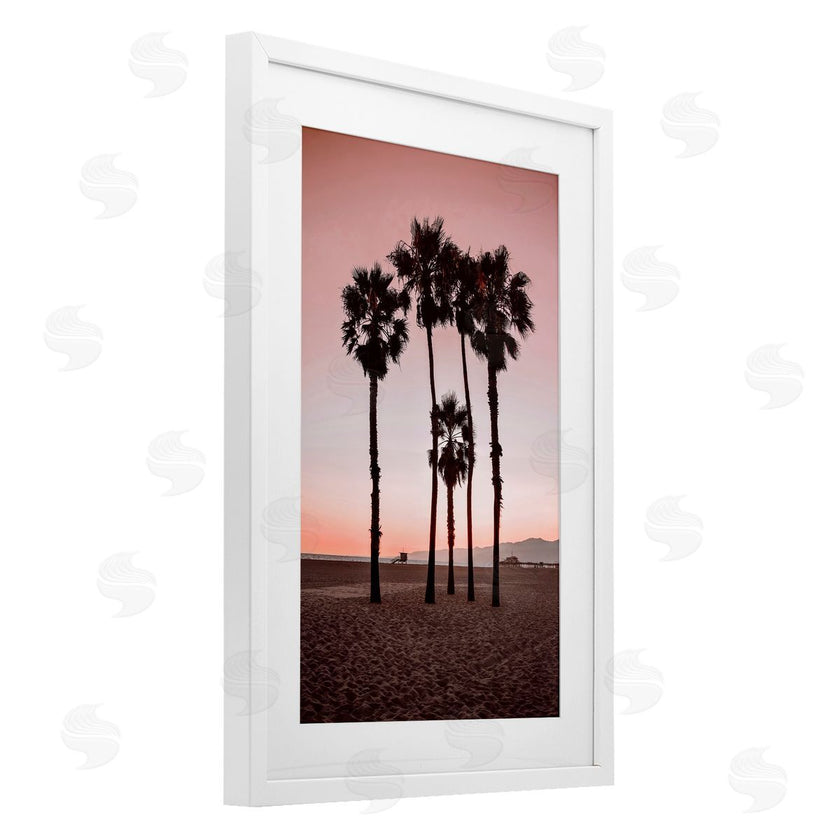 Natalie Carpentieri | Stanta Monica Palms Pink
