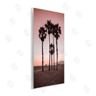 Natalie Carpentieri | Stanta Monica Palms Pink