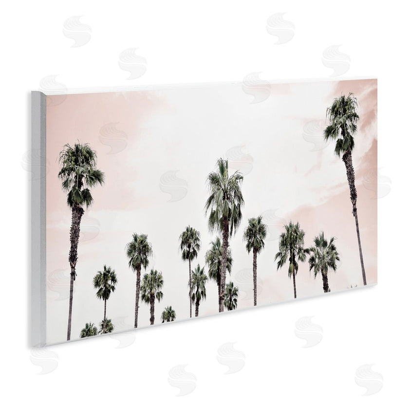 Natalie Carpentieri | Laguna Beach Pink Palms