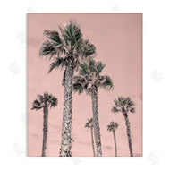 Natalie Carpentieri | Palm Up Pink Sky