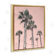 Natalie Carpentieri | Palm Up Pink Sky