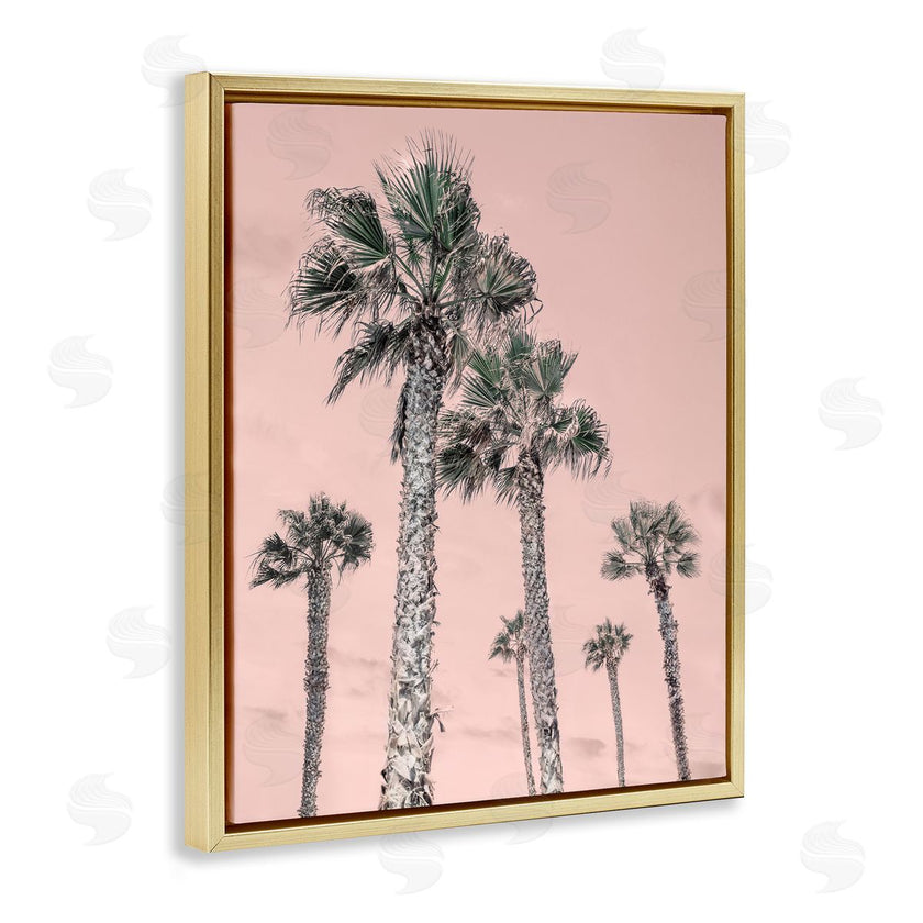 Natalie Carpentieri | Palm Up Pink Sky