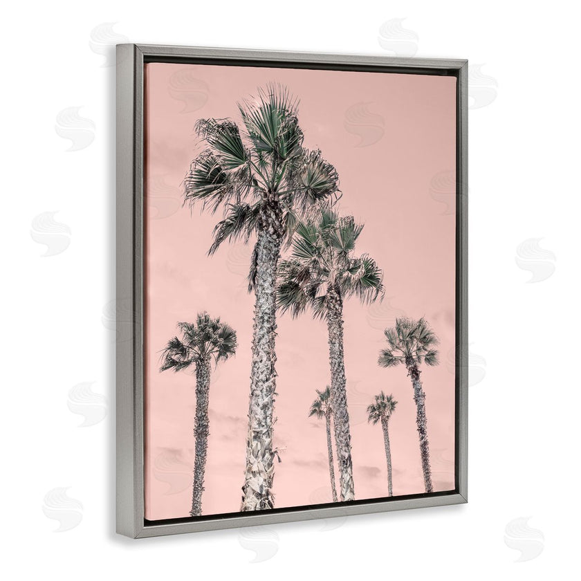 Natalie Carpentieri | Palm Up Pink Sky