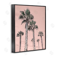 Natalie Carpentieri | Palm Up Pink Sky