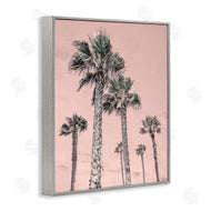 Natalie Carpentieri | Palm Up Pink Sky