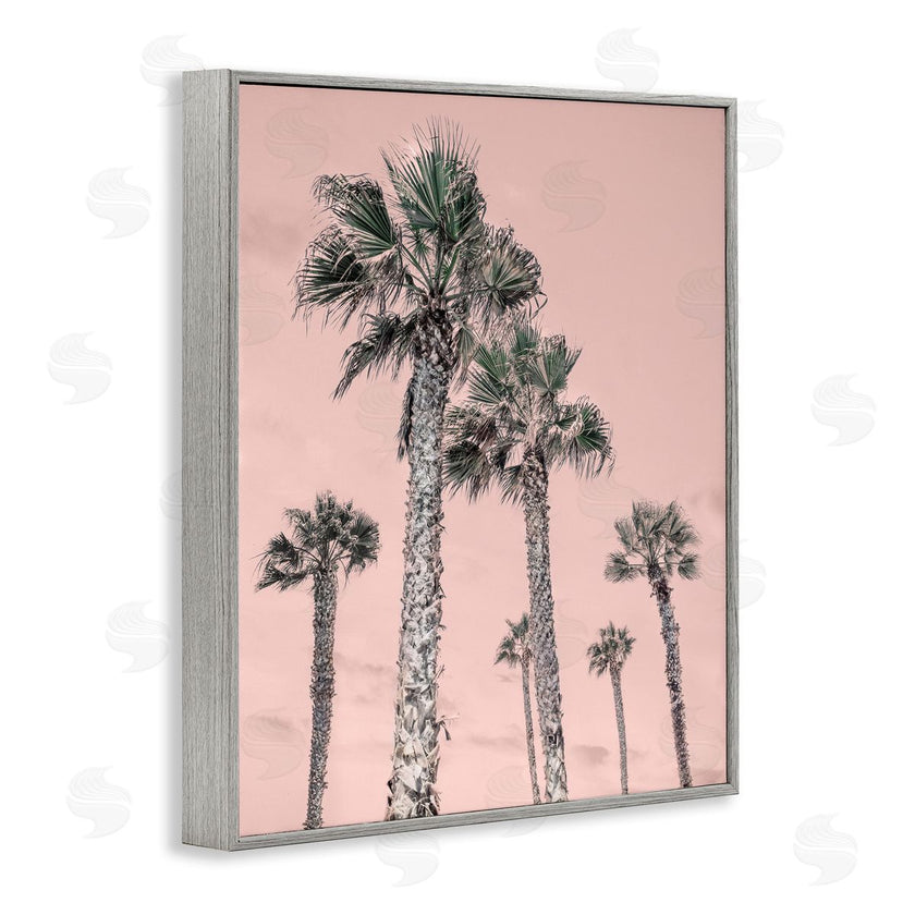Natalie Carpentieri | Palm Up Pink Sky
