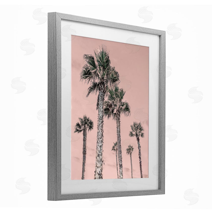 Natalie Carpentieri | Palm Up Pink Sky