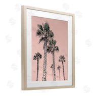 Natalie Carpentieri | Palm Up Pink Sky