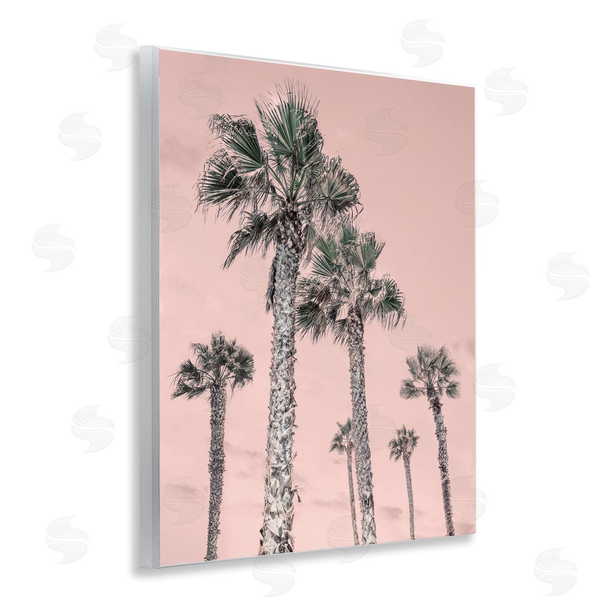 Natalie Carpentieri Palm Up Pink Sky Canvas Wall Art Print