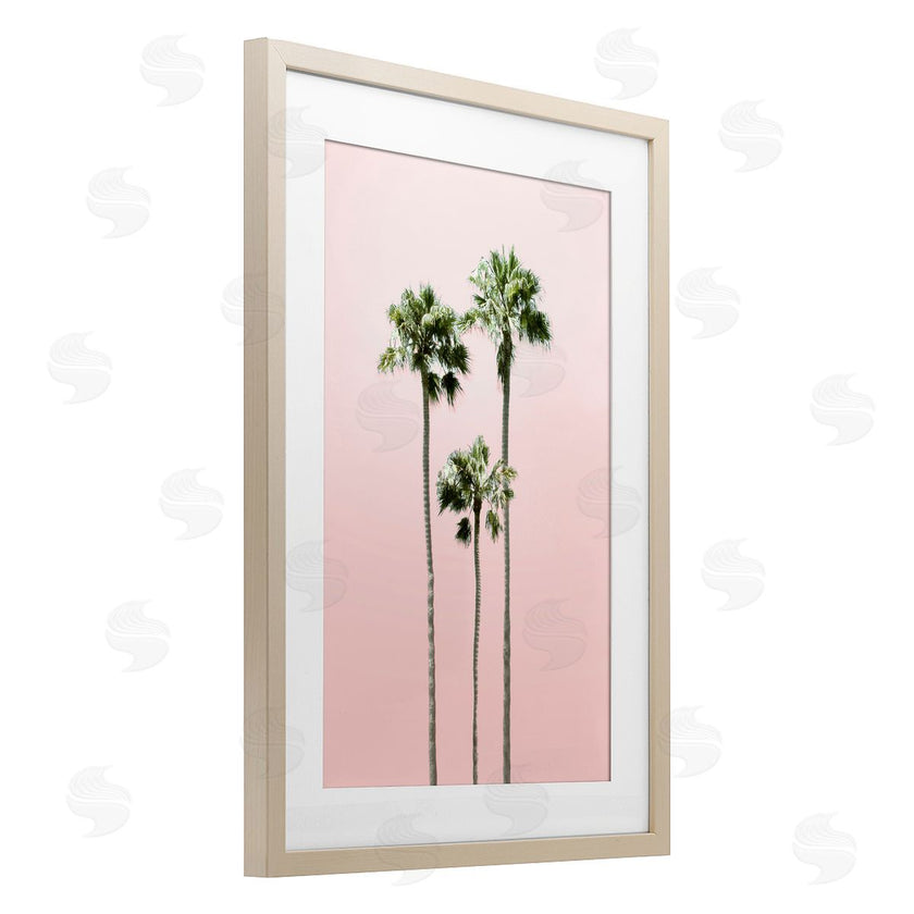 Natalie Carpentieri | Palm Getaway Pink Sky