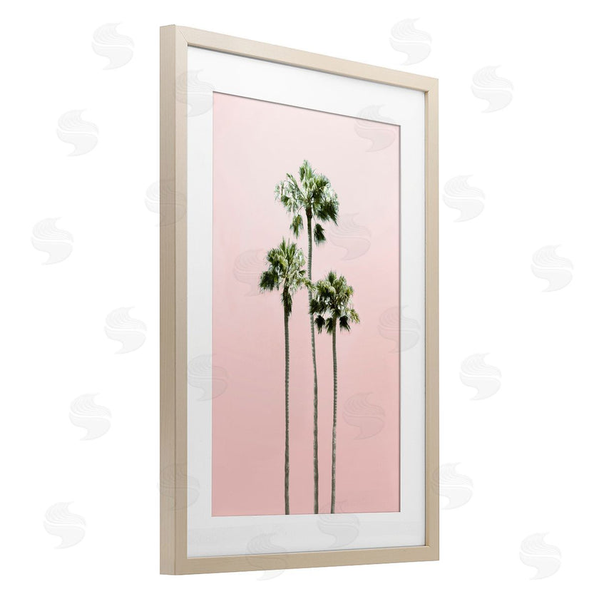 Natalie Carpentieri | Palm Getaway over Pink