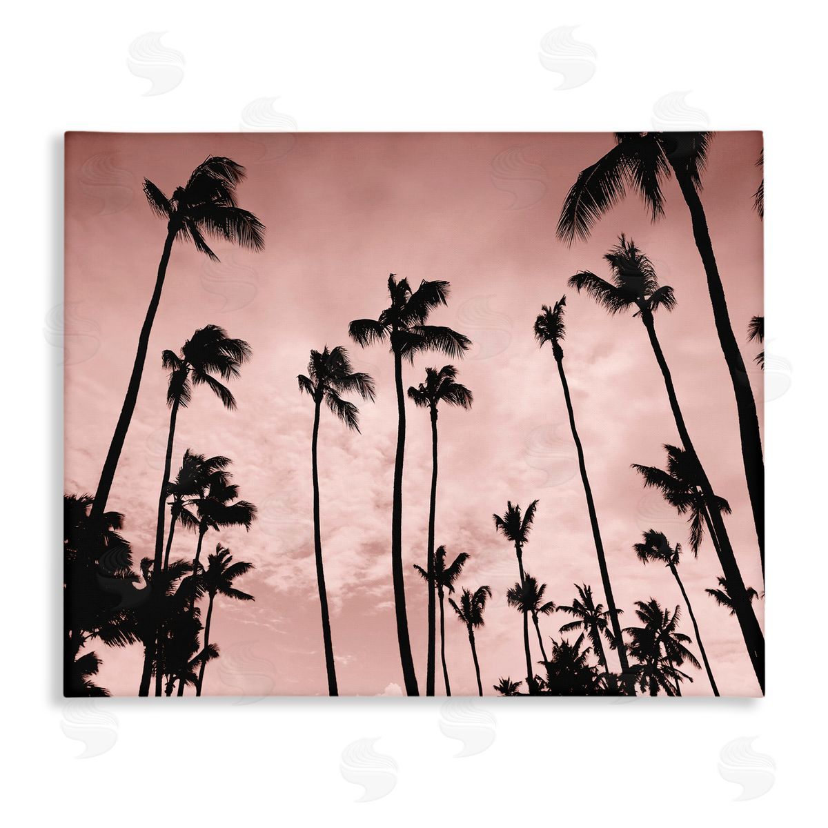 Natalie Carpentieri Evenings Edge Pink Palms Canvas Wall Art Print