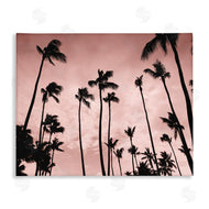 Natalie Carpentieri | Evenings Edge Pink Palms