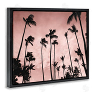 Natalie Carpentieri | Evenings Edge Pink Palms
