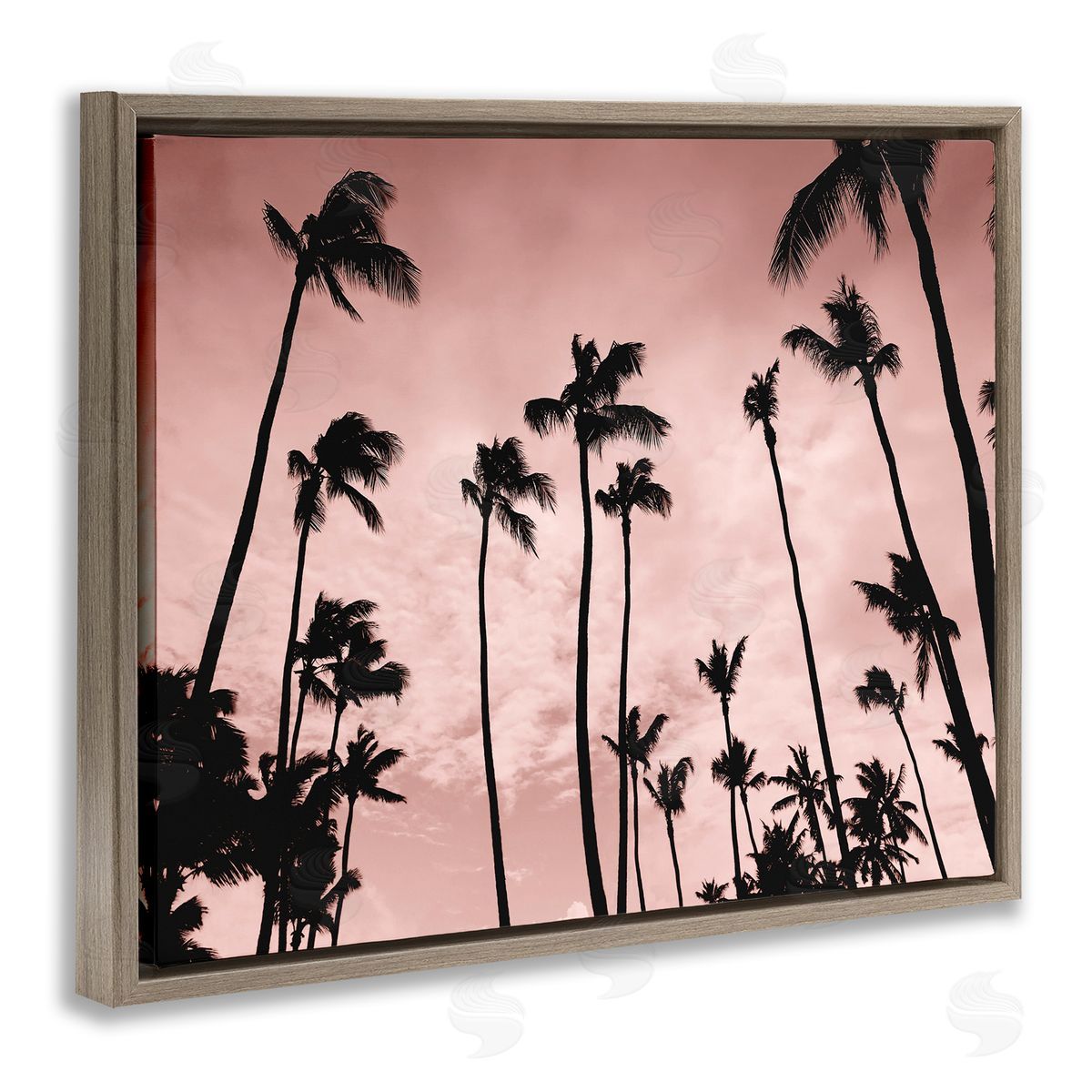 Natalie Carpentieri Evenings Edge Pink Palms Canvas Wall Art Print