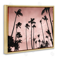 Natalie Carpentieri | Evenings Edge Pink Palms